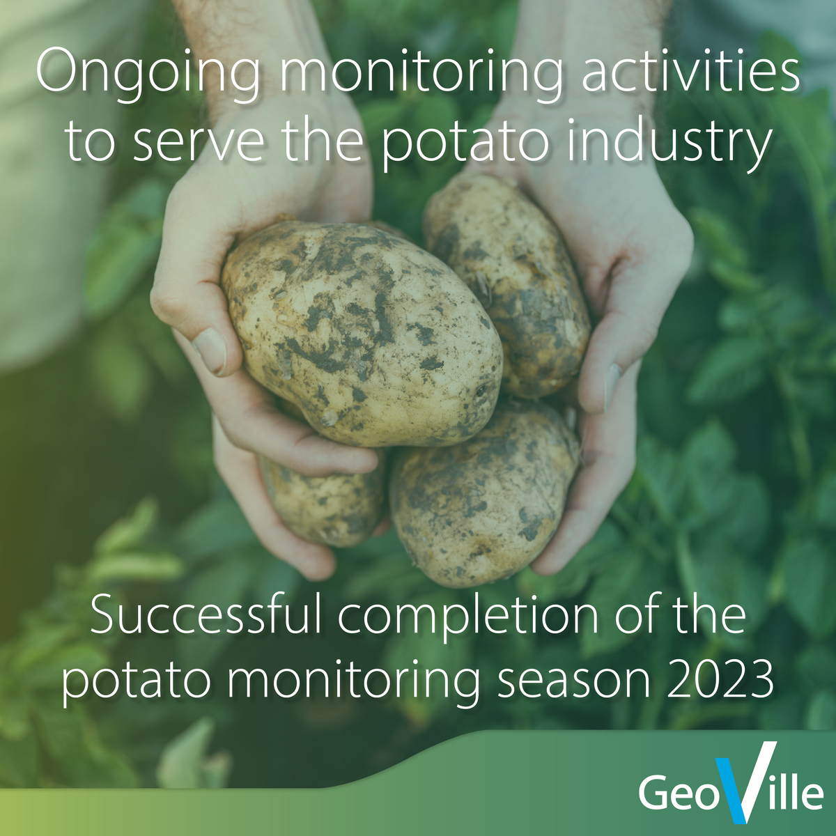 Ongoing monitoring acitvities to serve the potato industry
